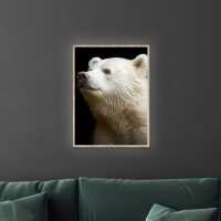 Lesen LED Bilder Bewertungen